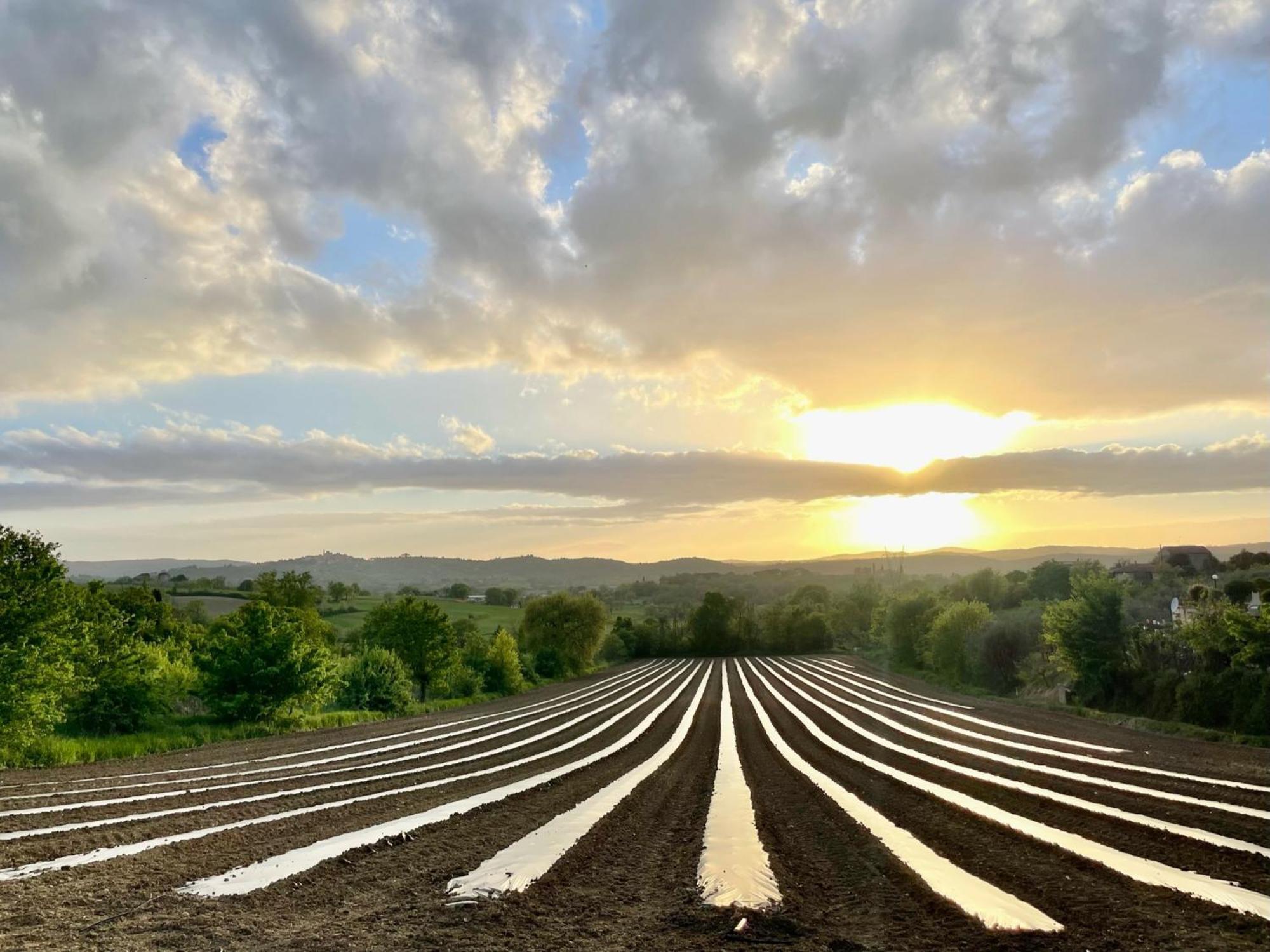 Pozzo  Agriturismo Casaviva מראה חיצוני תמונה